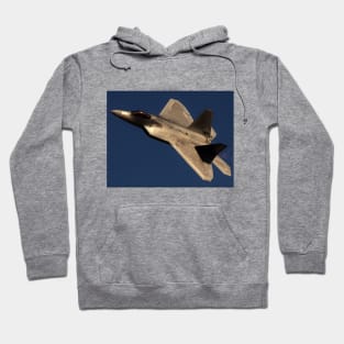 F-22 Raptor in Afterburner Hoodie